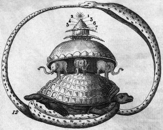 亀甲亀 象200 パキ、ノーマル150