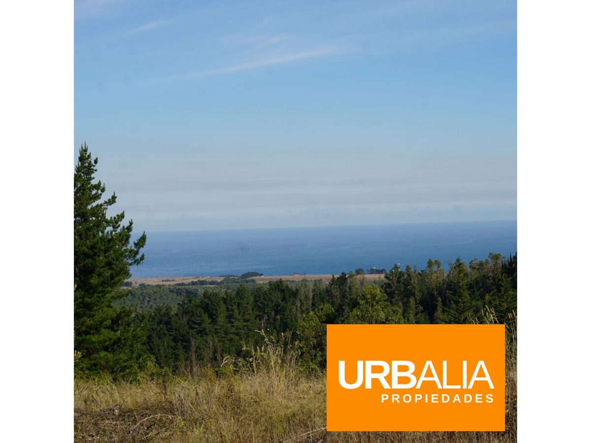 Urbalia's tweet photo. $80.000.000 - TERRENO SEMI PLANO VISTA PANORÁMICA CAHUIL
Corredora:
Javiera Drago.
+56974521490

https://t.co/5IcOJgsYUt

#cahuil #pichilemu #pichilemucapitalmundialdelsurf #pichilemusurf #pichilemuchile #puntadelobos https://t.co/kS6GysW7XZ