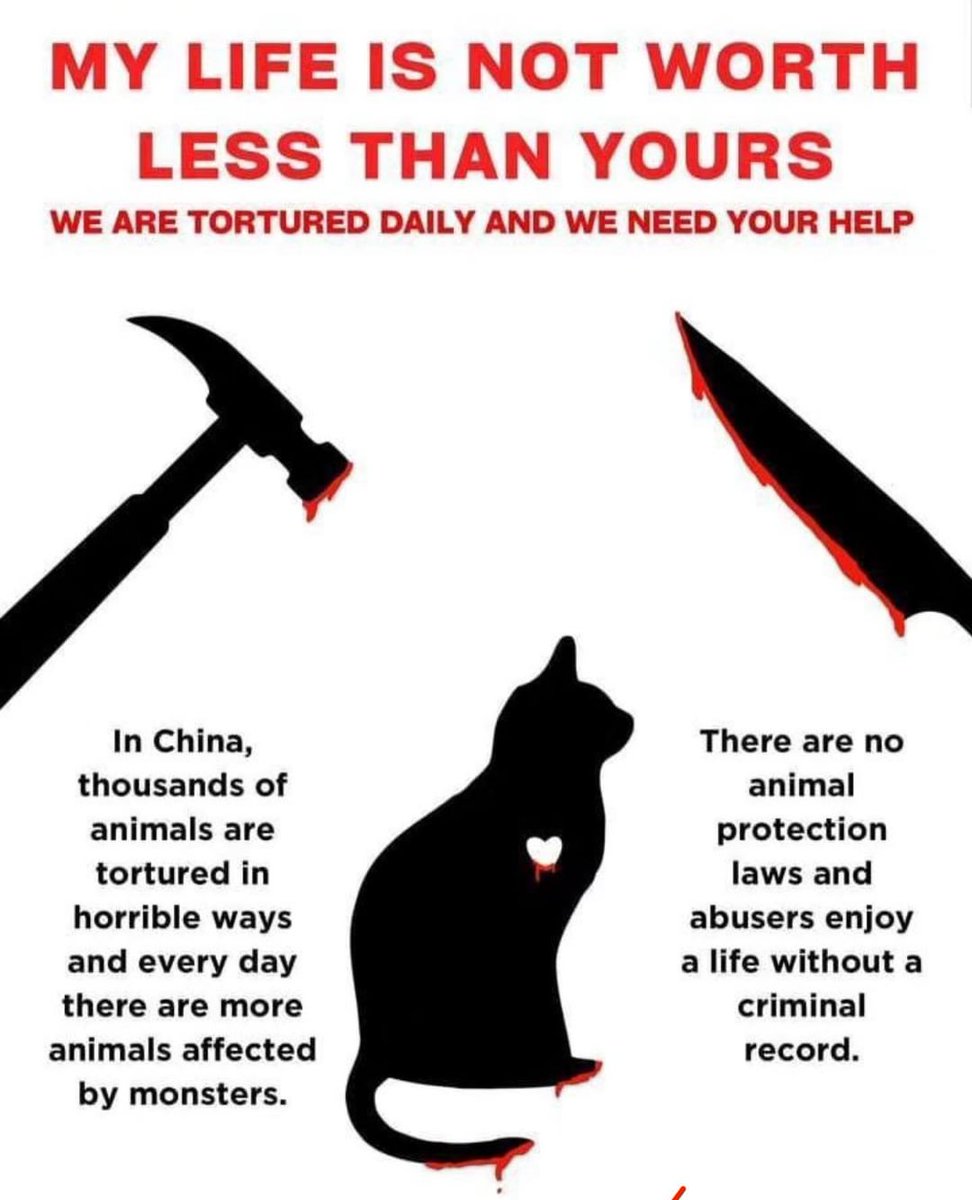 @Echinanews En China t0rtur4n animales porque no existenten leyes contra la crueldad animal, los abusador3s gozan de impunidad!!
#savecatsinchina
#StopChinaCatTorture
#CatAbuserChina
#China #DontFuckWithCats