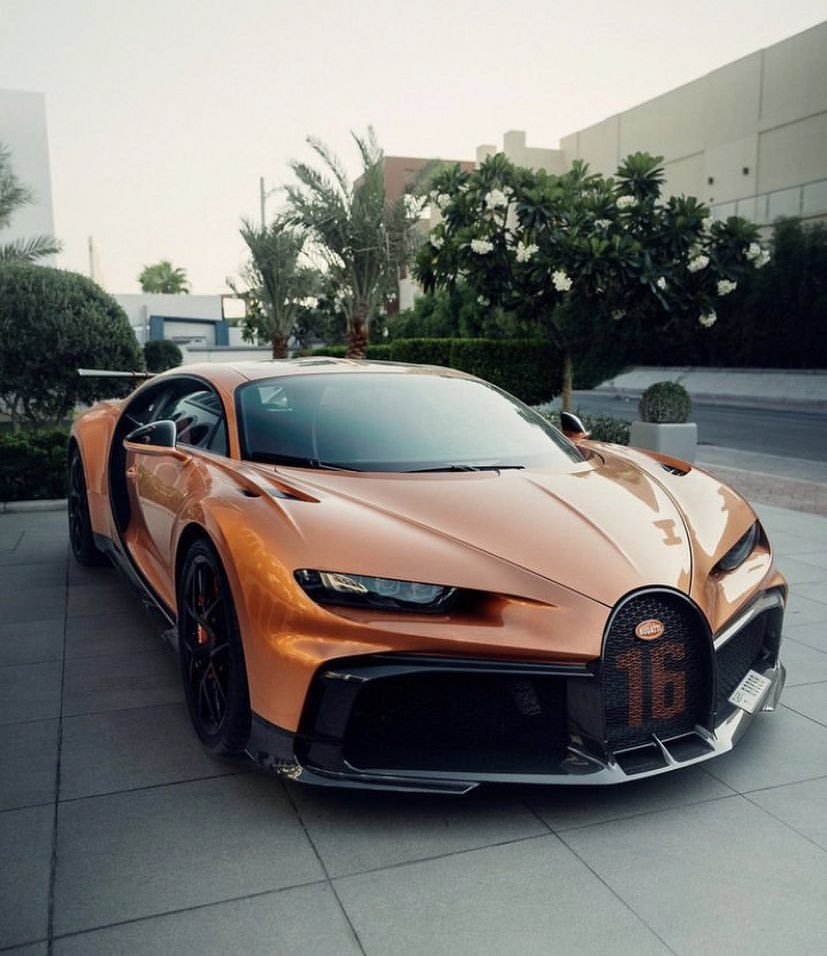 Bronze Chiron🔥👀