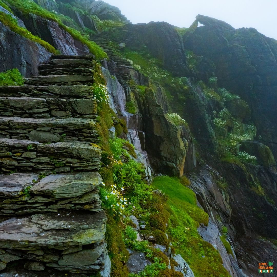 An exhilarating tour of beautiful Skellig Michael UNESCO World Heritage site Is Skellig Michael worth visiting? lovetovisitireland.com/is-skellig-mic… #loveireland #visitireland #ireland