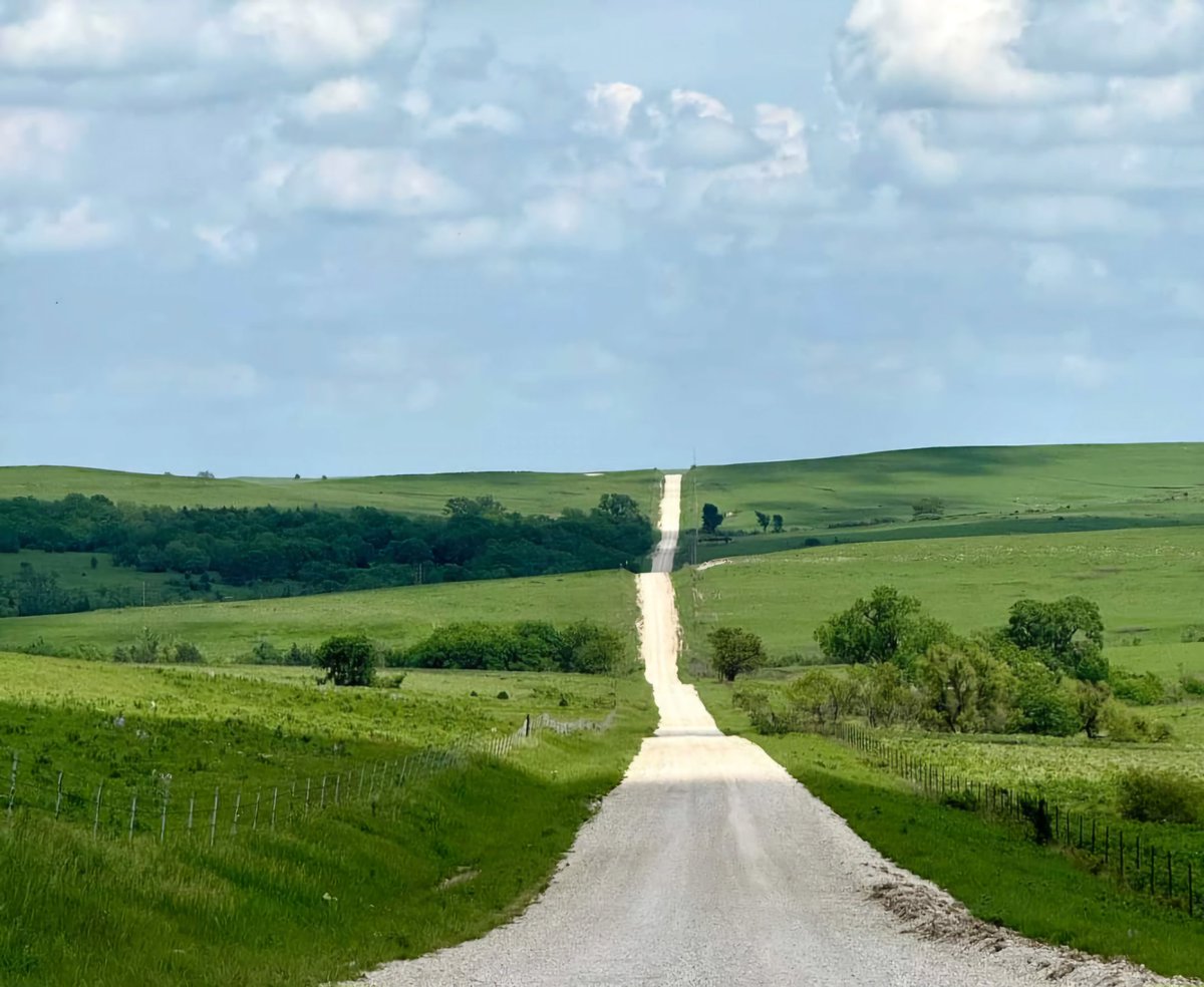 People always ask 'why is a spring burn necessary in Kansas' This is why 😊 #TheBeautifulFlintHills #WabaunseeCounty
