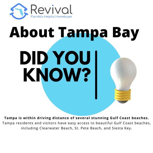 TAMPA BAY TUESDAY! Did you know? 💭
.
.
.
.
#realestateinvestinig #tampahomebuyer #easiestprocessever #sellyourhousetheeasyway #webuylocal #weclosefast #tampabay #fixerupper #webuyfixeruppers #webuytampa #webuyfixers #wereheretohelp #tamparealestate #realestateinvestors