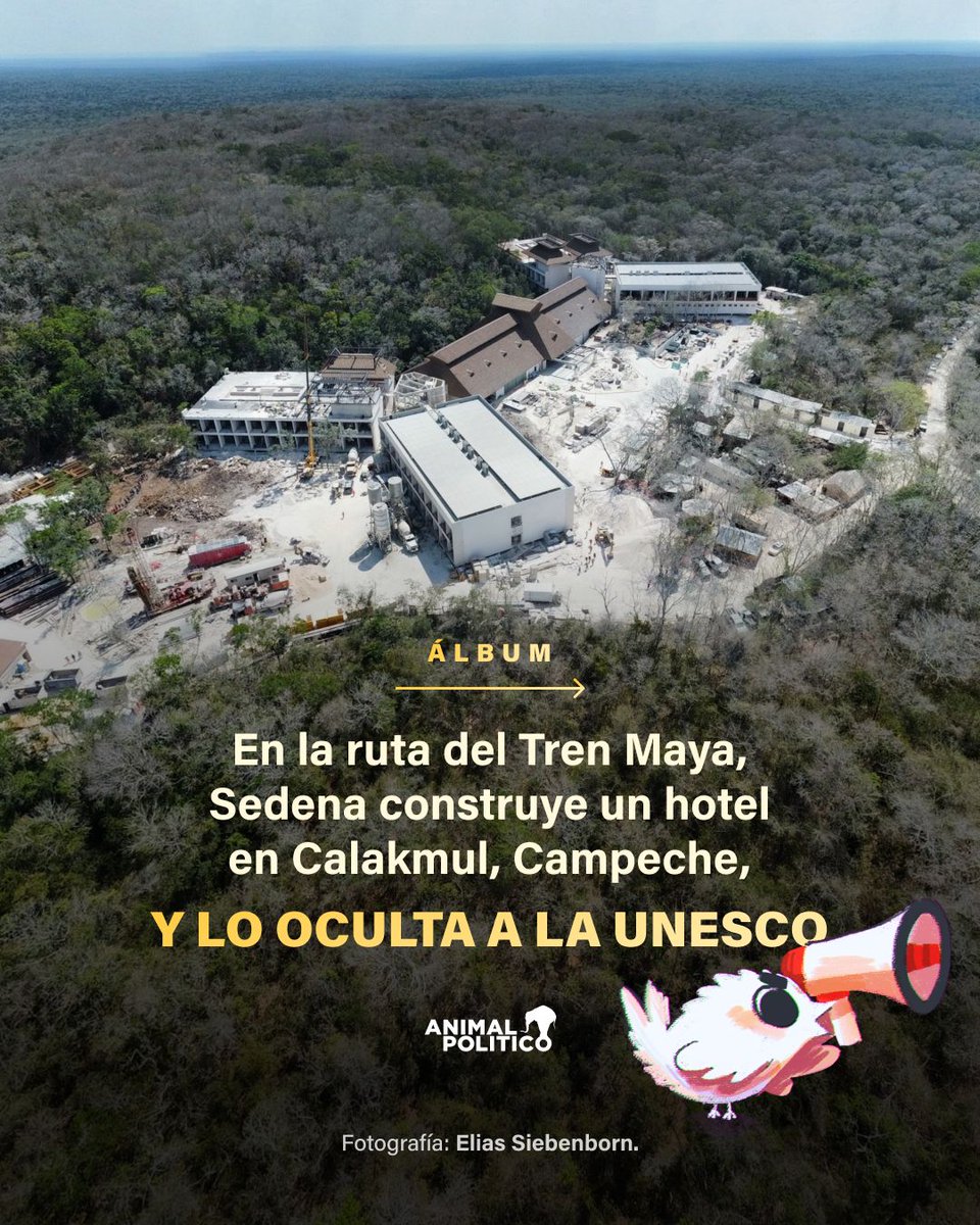 Pajaropolitico's tweet photo. 🟢La @SEDENAmx construye un hotel en la Reserva de la Biosfera de #Calakmul en #Campeche, sin embargo la obra no respeta el decreto que protege a esta zona, la cual es considerada como patrimonio mixto de la humanidad. Abrimos hilo 🧵 https://t.co/ZCcUA5qBQP