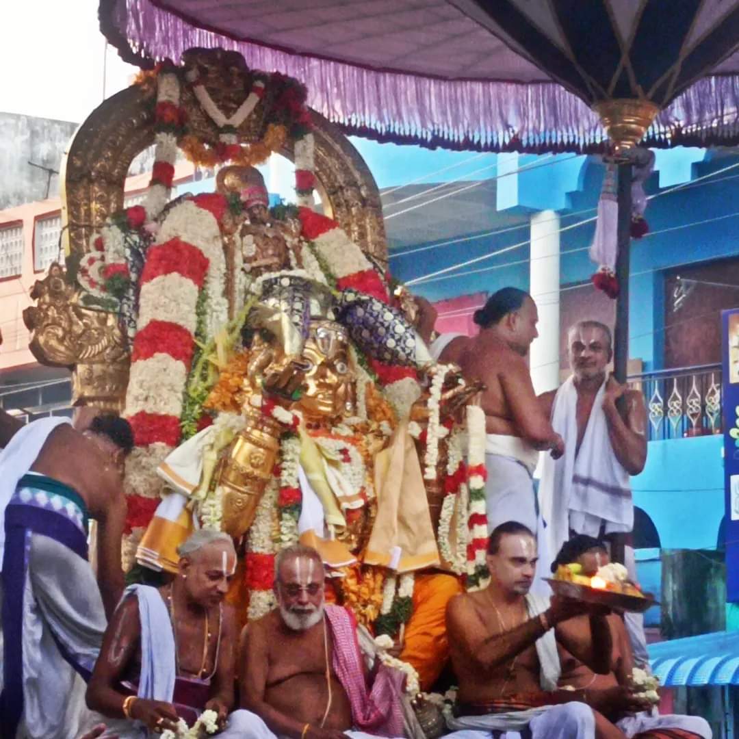 My click 📸 #garudasevai 🙏🏻❤️ #kanchivaradharajaperumal ❤️ #kanchipuram