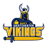 SJR State Baseball tweet media