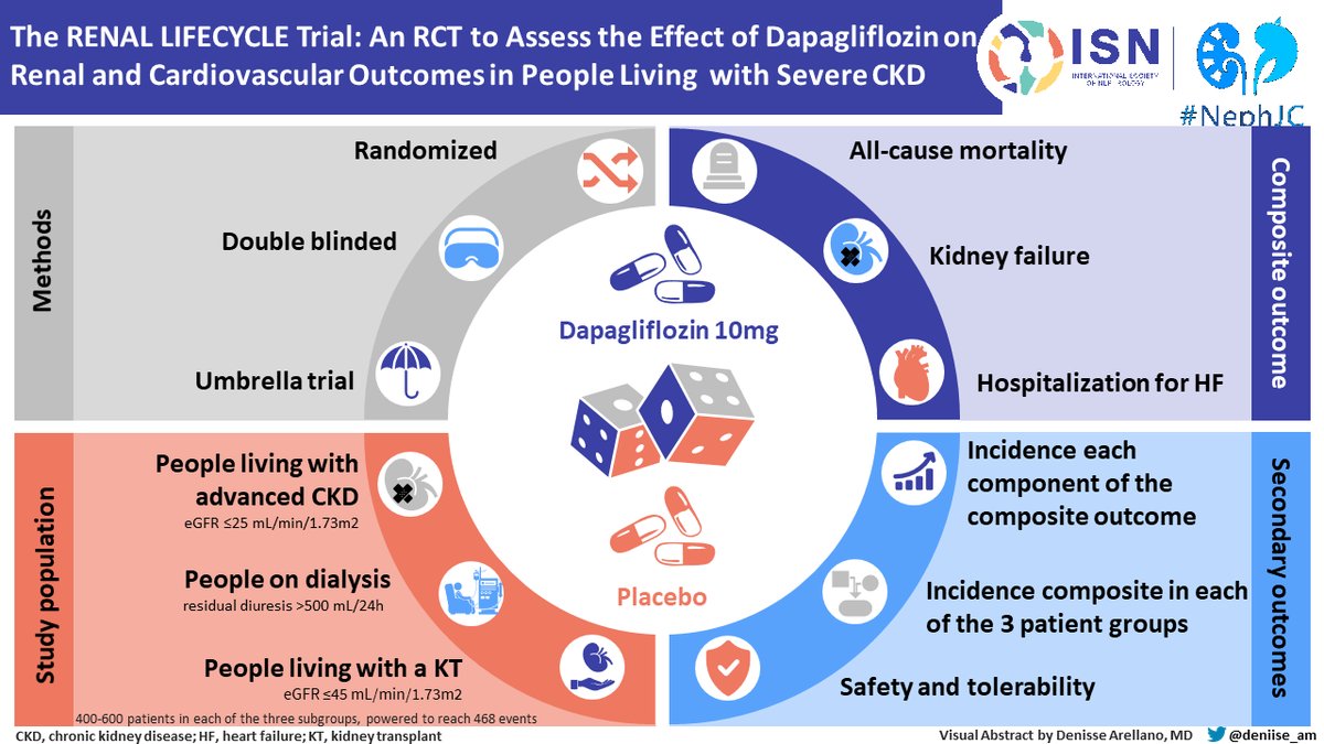 RENAL LIFECYCLE Trial: Efficacy and safety of dapagliflozin 10 mg vs placebo #Nephpearls #NephJC ✅ eGFR <25 ✅ Patients on dialysis with residual diuresis >500 mL/24-hour ✅ Kidney transplant recipients with an eGFR </=45 📌 PRIMARY ENDPOINT: Composite end point of kidney