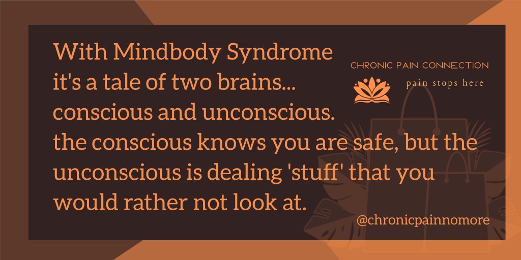 Education is the key. #chronicillness #chronicpain #chronic #mindbody #mindbodysyndrome #chronicstress #tms #pain #neuroplasticpain #migraine #backpain #neckpain #sciatica #fibromyalgia #pelvicpain #ibs #chronicpainrelief #paineducation #CFS #painnomore #DrSarno #neuroplasticity