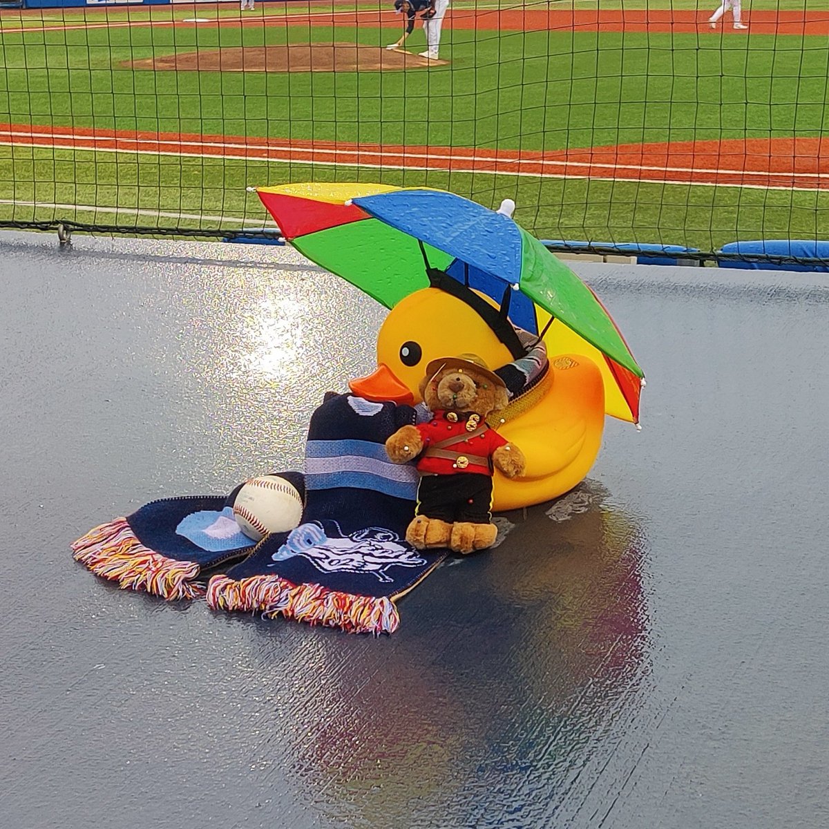 Growler says, "Bring on the rain and LET'S GO HOPS!!!"

#5ection #AllHoppedUp