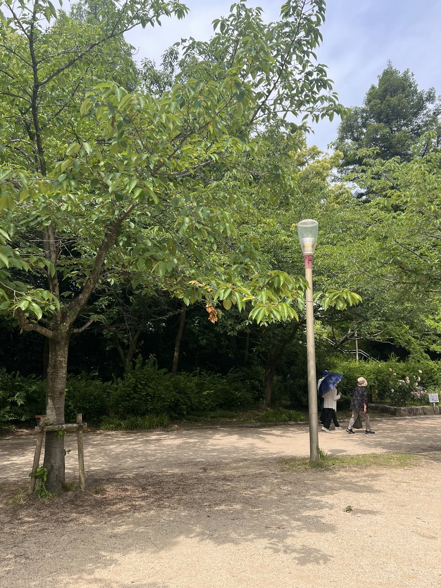 윤 tweet media