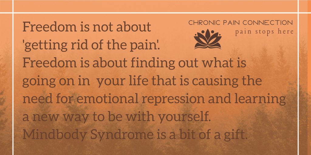 Pain is a message. #chronicillness #chronicpain #chronic #mindbody #mindbodysyndrome #chronicstress #tms #pain #neuroplasticpain #migraine #backpain #neckpain #sciatica #fibromyalgia #pelvicpain #ibs #chronicpainrelief #paineducation #CFS #painnomore #neuroplasticity #DrSarno