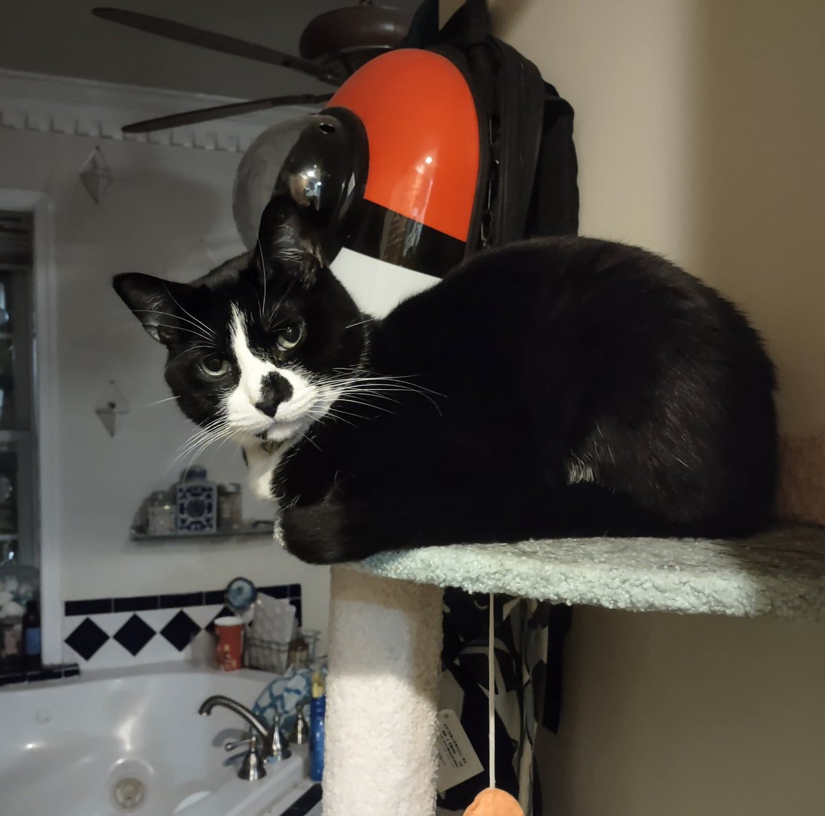 sorey but . ime canot take aneyone seriosley thate believ RemoteGontrole are worth 5 persent !  , is Simpley Not.