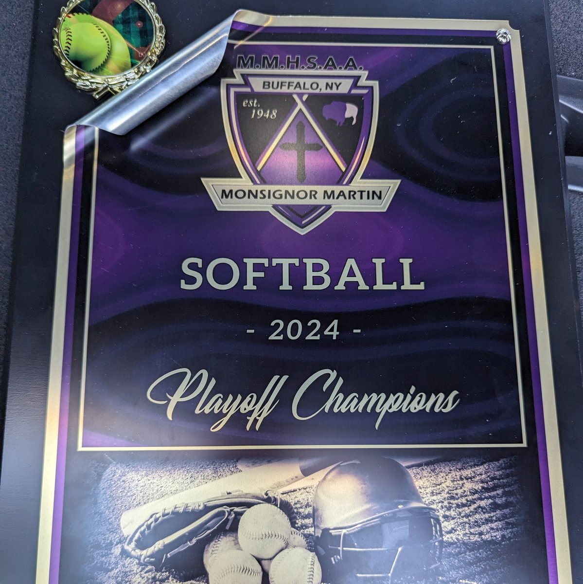 SMHSoftball tweet media
