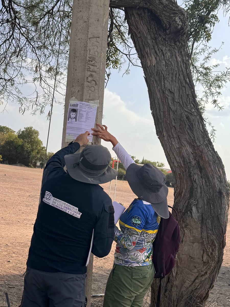 Tlachinollan CDHM tweet media