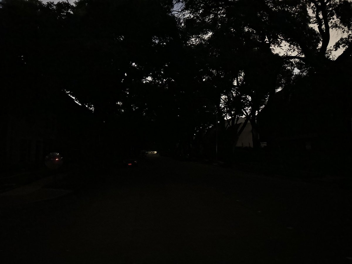 PepperGii's tweet image. Hello from #SpringBranch Houston. Day 5. 😵‍💫😵‍💫😵‍💫