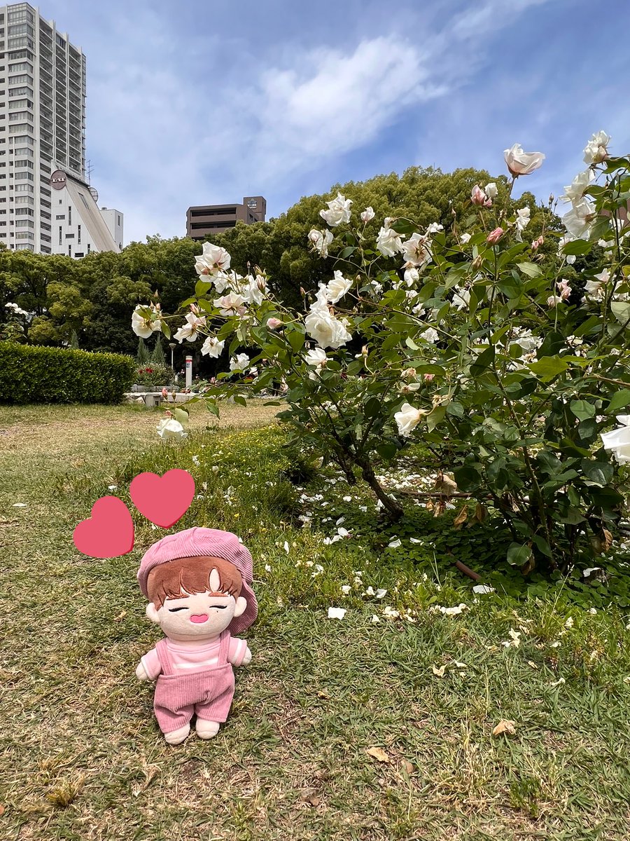 윤 tweet media
