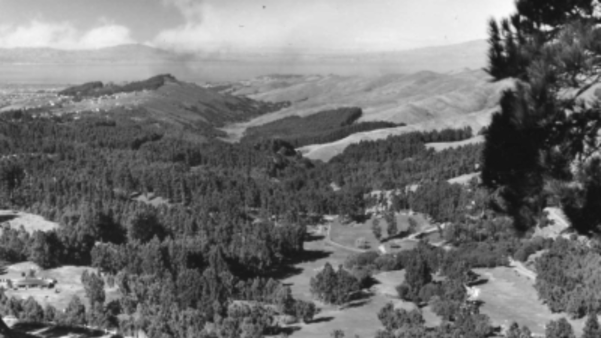 Celebrate 90 years of East Bay Regional Parks with a new interactive Story Map park history series, beginning with Tilden Regional Park. Learn about the many Regional Parks with historic features and unique stories. ebparks.org/celebrating-90… #EBRPD #EBParks90 #LoveEBRPD