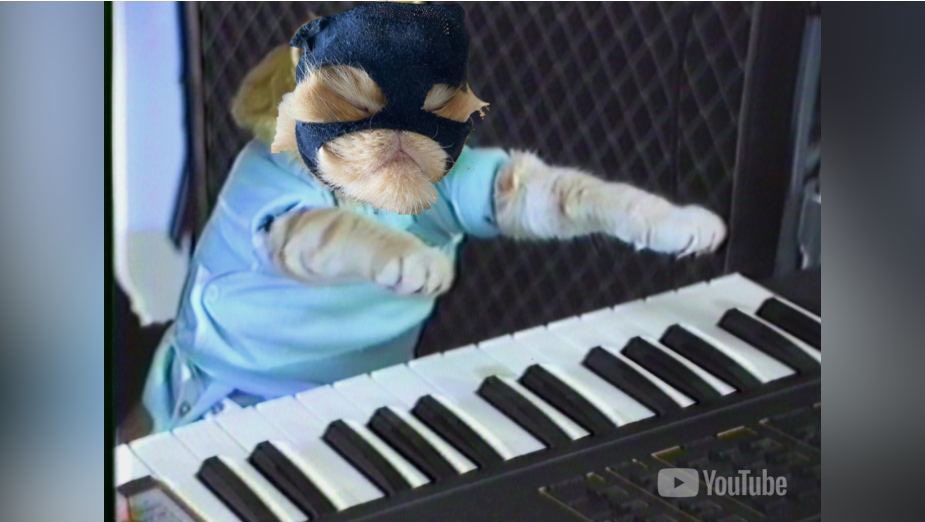 SkiCatCTO's tweet photo. @LarpVonTrier @KeyboardCatBase Will play piano if you buy some $SKIC bags https://t.co/ANVs0O8Ld5