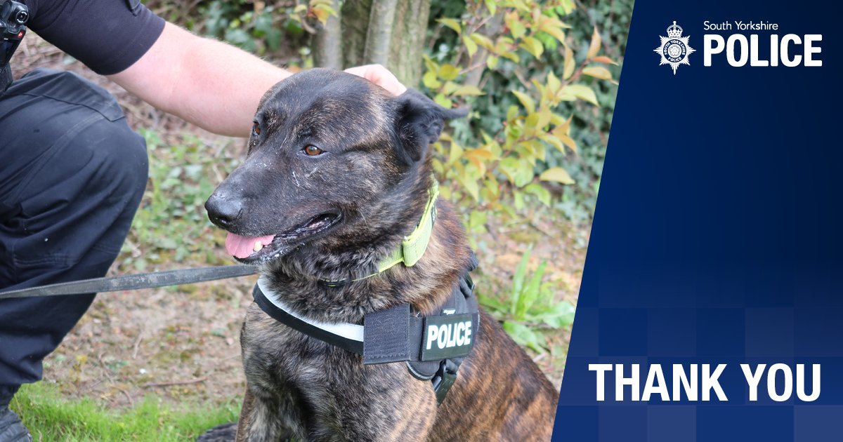 We are pleased to report that missing Emily from #Sheffield has been located safe and well. A massive thank you to everyone who shared our appeal to find her 🙏 💙