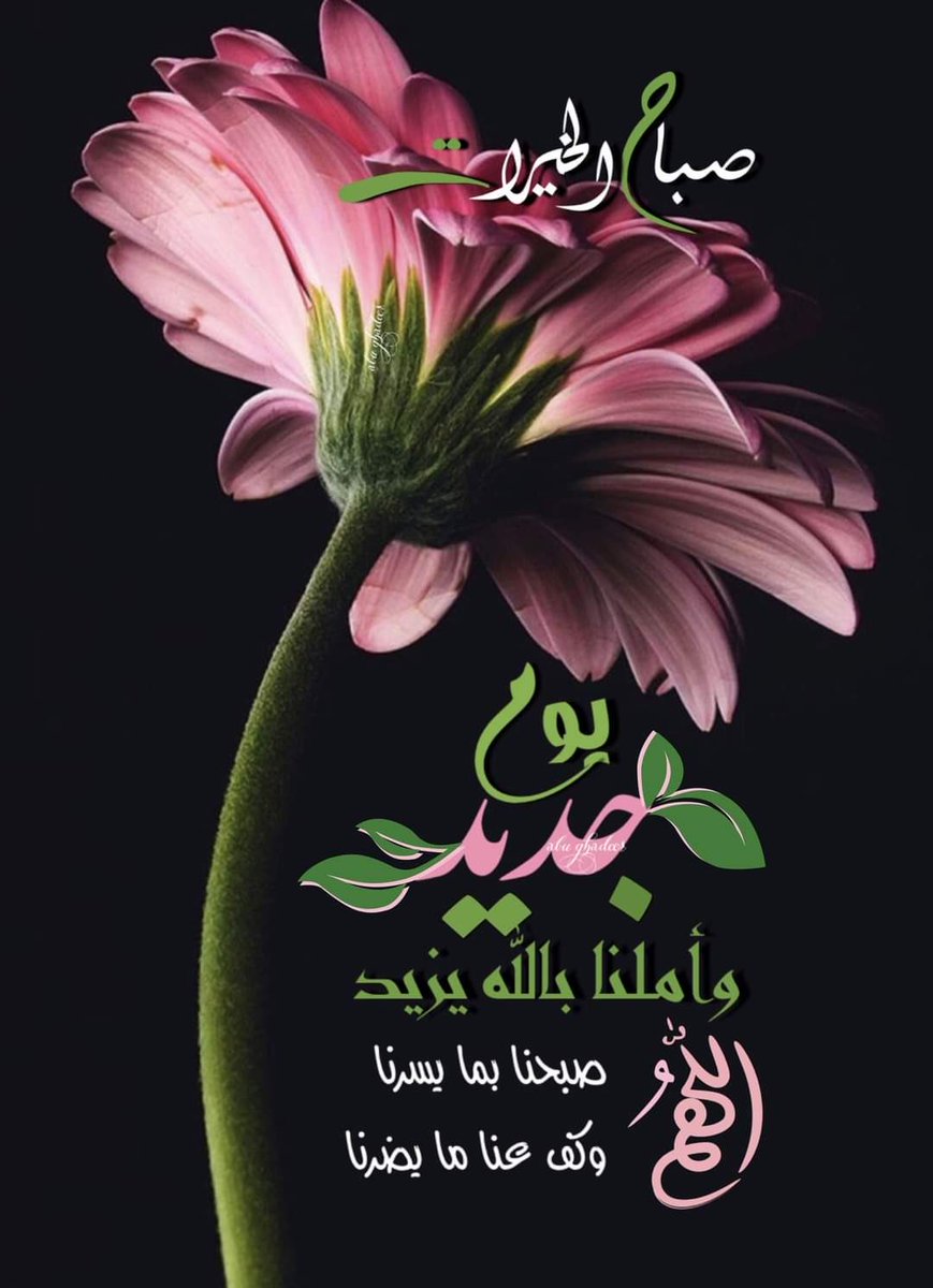 احمد *ابو بندر* (@ahmed_ali1386) on Twitter photo 