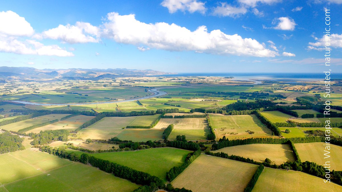 How can we tackle climate change, biodiversity loss and water quality while maintaining the economic, social and cultural life of rural Aotearoa New Zealand? The PCE’s latest report addresses this question. bit.ly/goingwithgrain