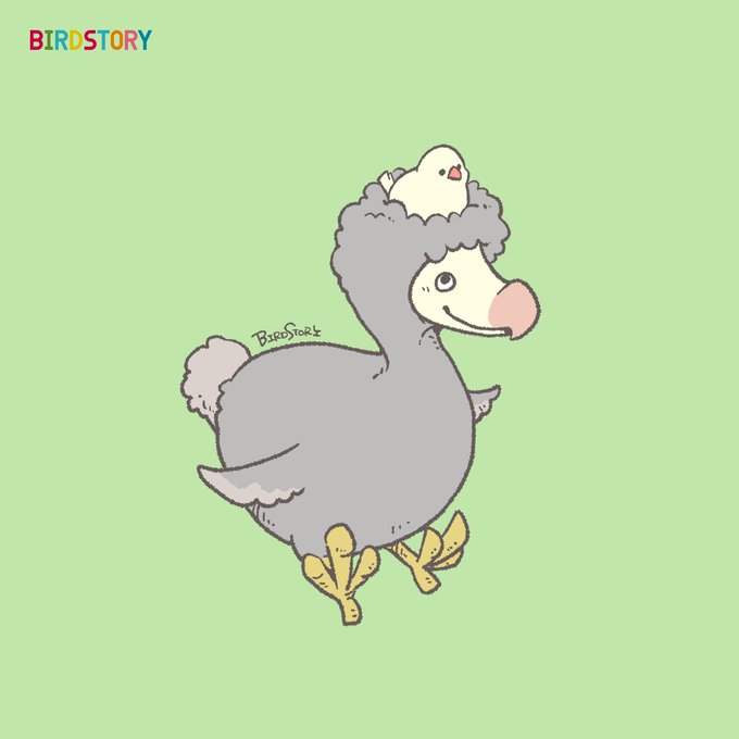 「BIRDSTORY@Birdstory_pic」 illustration images(Latest)
