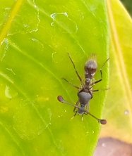 Ashenafi (@ashenafik_) on Twitter photo 