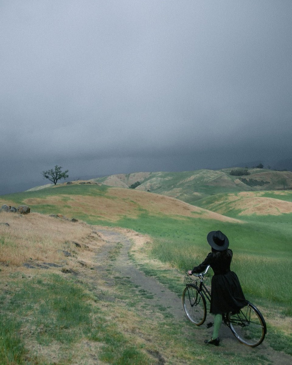 It's sometimes the subtleties in tying all of the colours together which really a piece of art 💚 Love this: 'Wicked Witch of the West Coast' photograph by @americanghoul