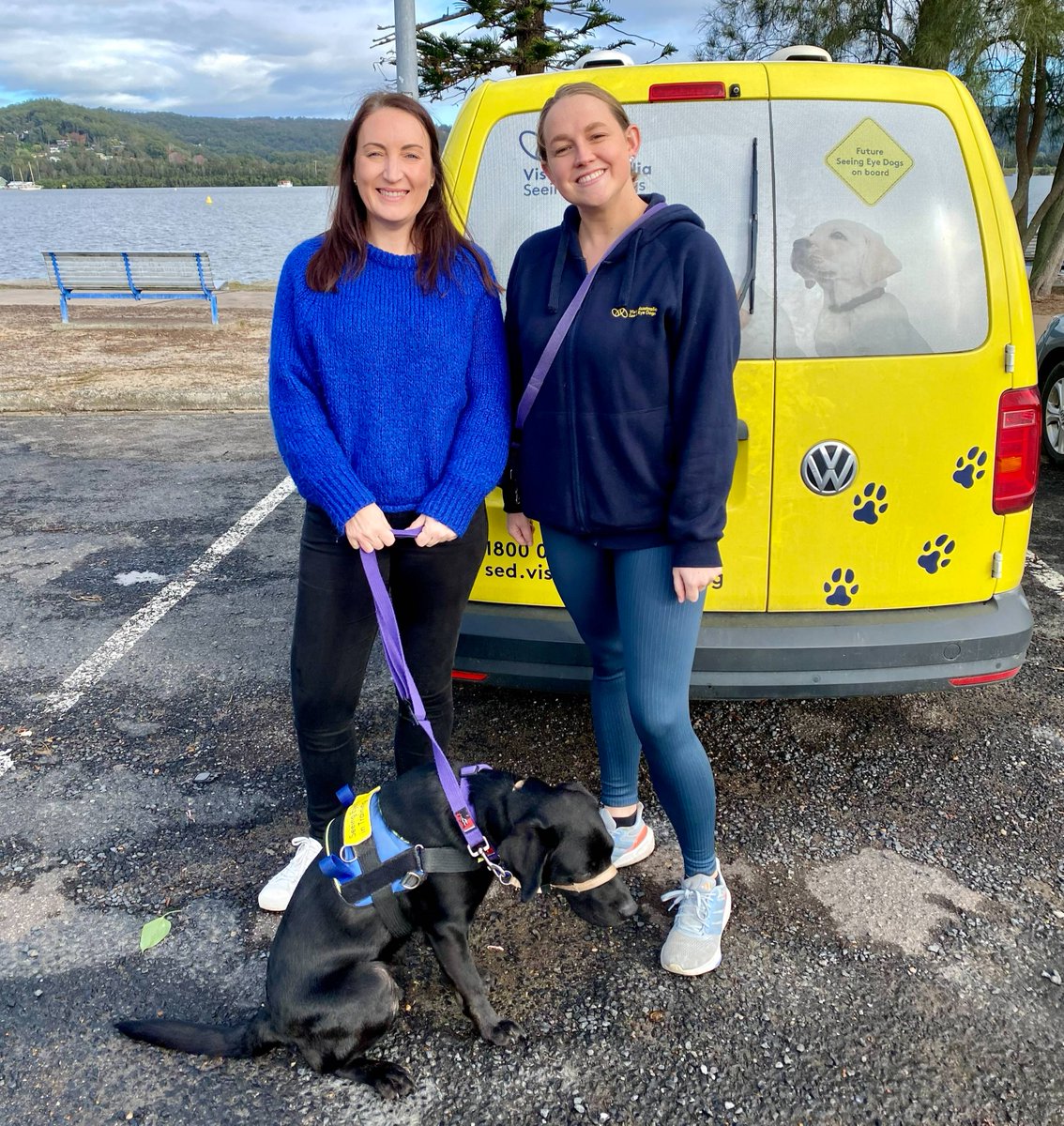ACUmedia's tweet photo. This #NVW2024 we celebrate the ways our staff and students volunteer their time in the community. Like Jessica Jones, who cares for Louise, a 16-m/o in training to be a @VASeeingEyeDogs. Find out how ACU supports volunteering opportunities for staff: https://t.co/CdXmzYcVw9 https://t.co/pPLpmrDlqp