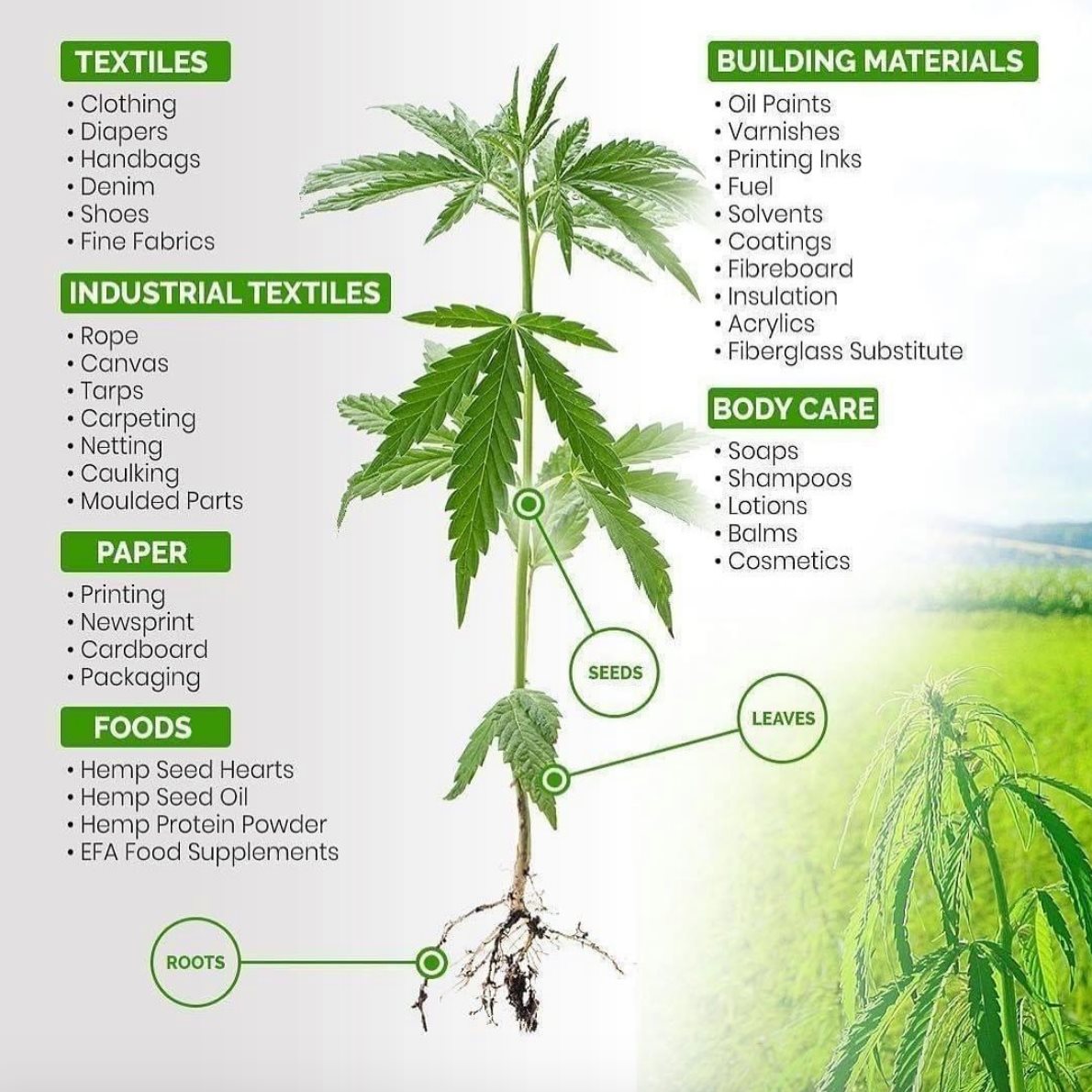 Over 50,000 uses the plant has... #cannabis #stonerfam #legalizeIt #weedmob #cbd