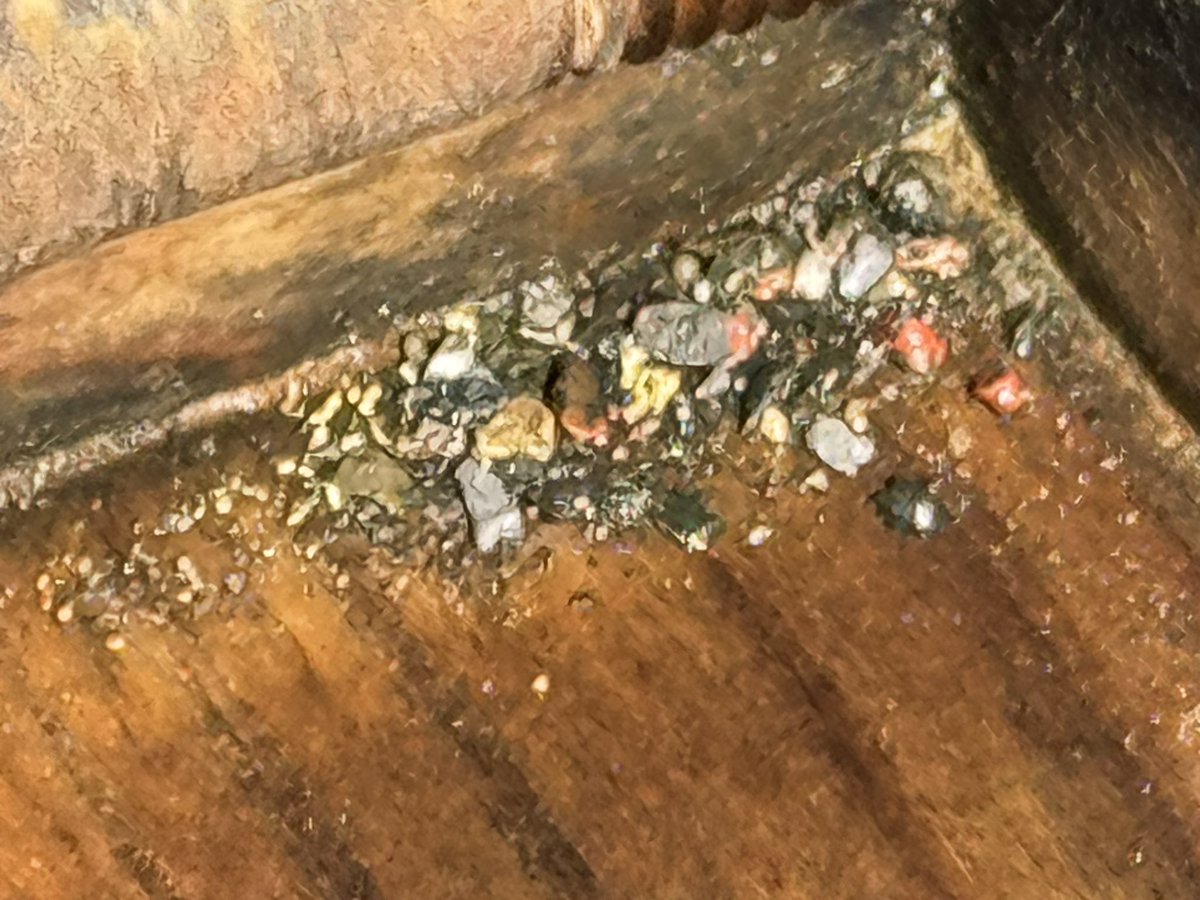 TrueGoldToken tweet media