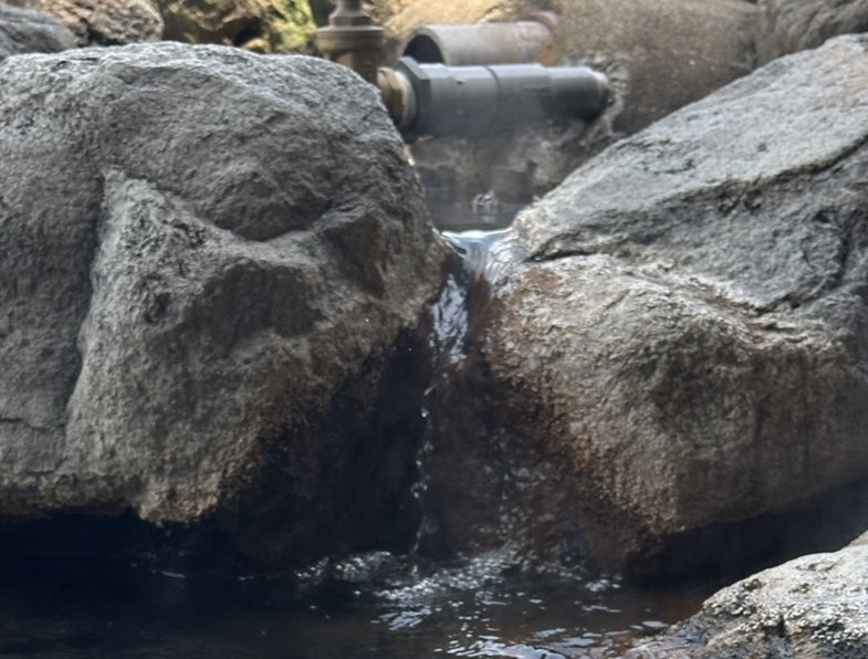 植物由来。フルボ酸を含んだモール泉が尊すぎる……！美肌湯治から2日経ってもまだしっとり潤いが持続してる！お肌がかなり機嫌いい🥰

ただモール泉の湯を選んで浸かっただけなのに。エステよりかなりローコストで肌もからだも整えて。さらに温活で冷え性対策にもいい温泉、マジですごいね……🍀