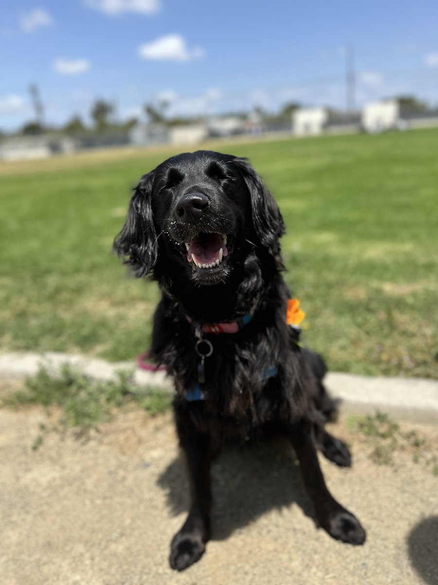 Bethany Larkin tweet media