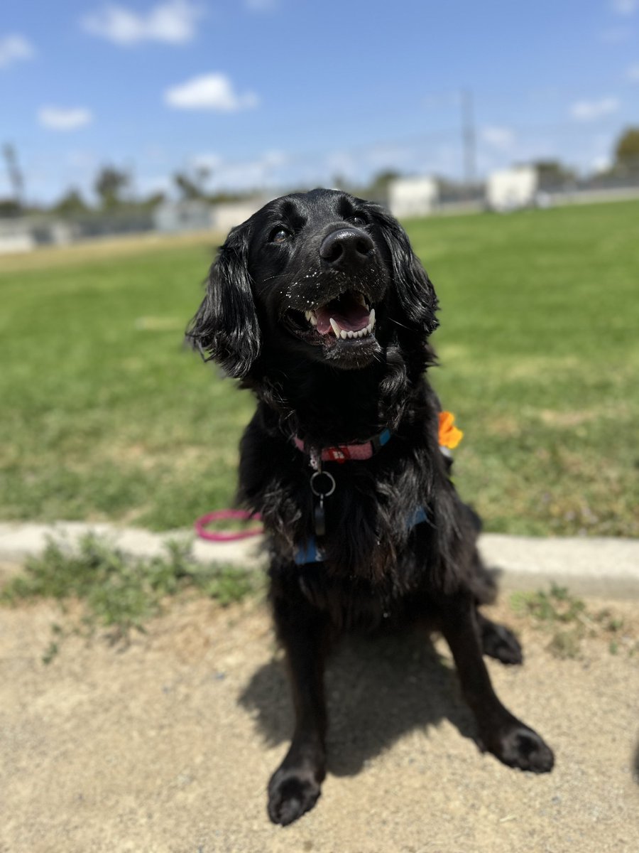 Bethany Larkin tweet media