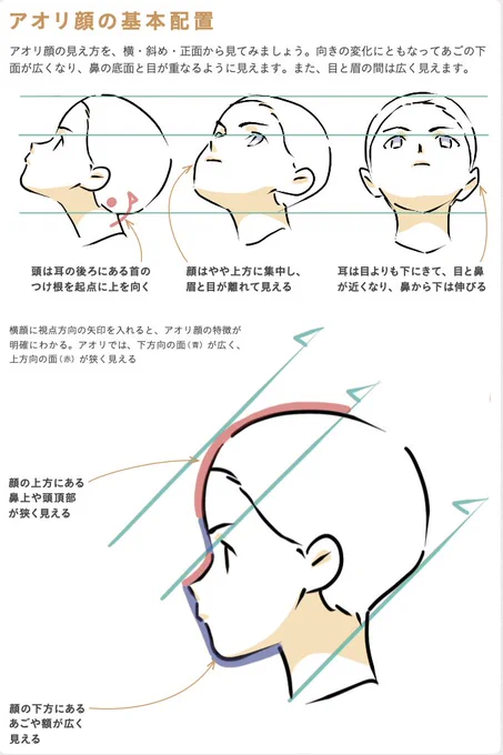 アオリ、フカンの顔を横図で捉える!!上手い絵を模写して吸収するのが一番早いが、形を覚える時に理屈がわかった方が吸収力が高い。横顔を上を向きの面と下向きの面に分けて捉える。アオリの時に下面は広く、上面は狭くなり、フカンの時は上面が広く、下面は狭くなるか、隠れて見えない… 