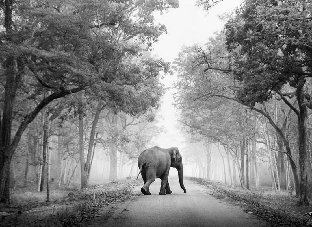 Tenemos que aprender a caminar con tanta pasión como si fuera el primer día y con tanta paz como si fuera el último ... 🕉