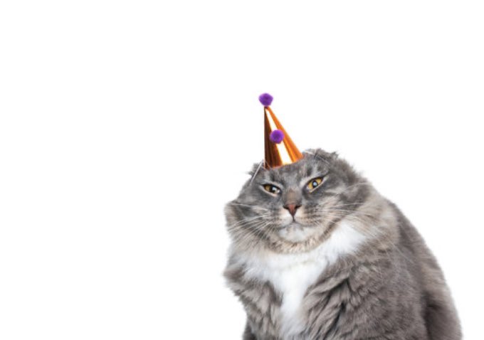 xoFrosteh's tweet photo. Birthday swag🤠☝️ https://t.co/ODdHlJgURI