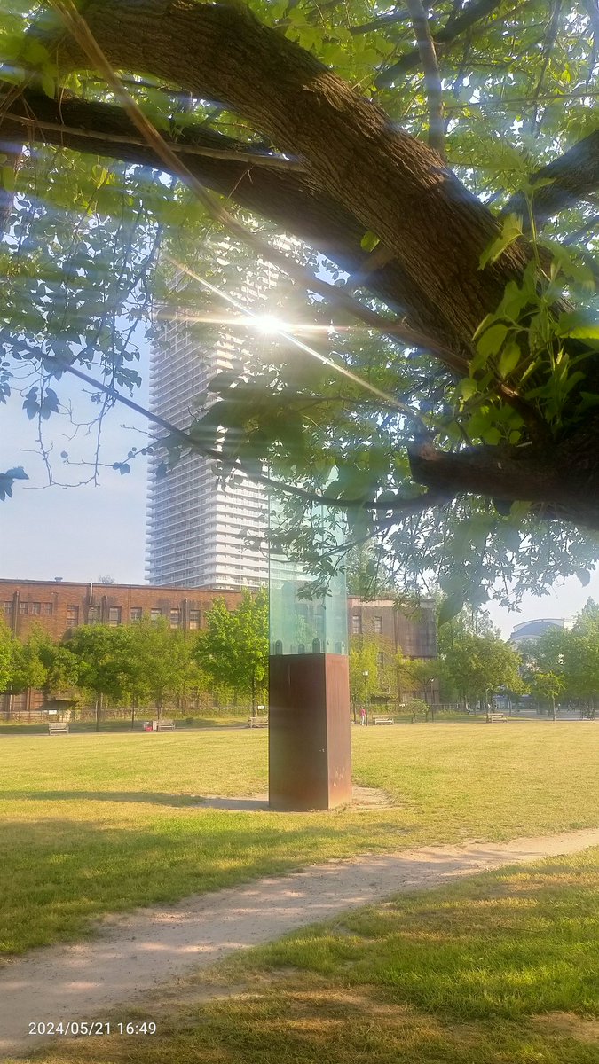 akubi_cchi's tweet photo. #カコソラ #太陽 ☀ #反射
#犬とお散歩 🚶🐕
#MotherTree https://t.co/16LxuDoxwG