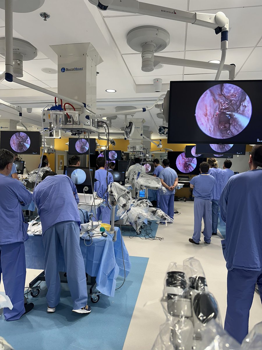 Wrapping up the endoscopic skull base component of our course @MayoClinicNeuro @MayoClinic @MayoClinicENT in Florida! We had amazing 2 days of anatomy, surgical techniques and case discussion, with over 12 hours of hands on activities with high quality dissections and state of