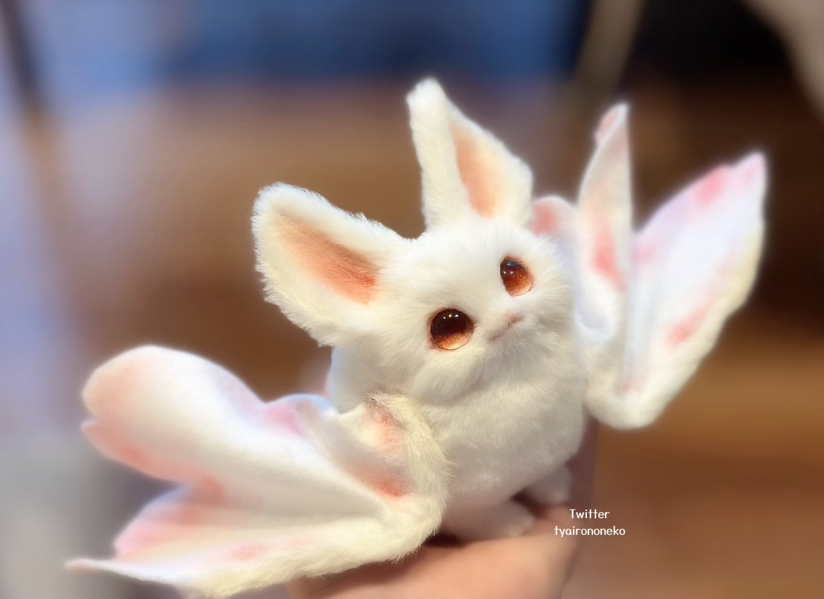 【告知】
🌸🦇（幼体赤目種）
23日19時からで、昨日のこともあるので
受付は翌日24日の20時までとなります！
参加される方は300までの番号の中からお好きなものを一つと、　#天体獣抽選会0523
のタグを付けて受付用ツイートへ返信をしてください✉️