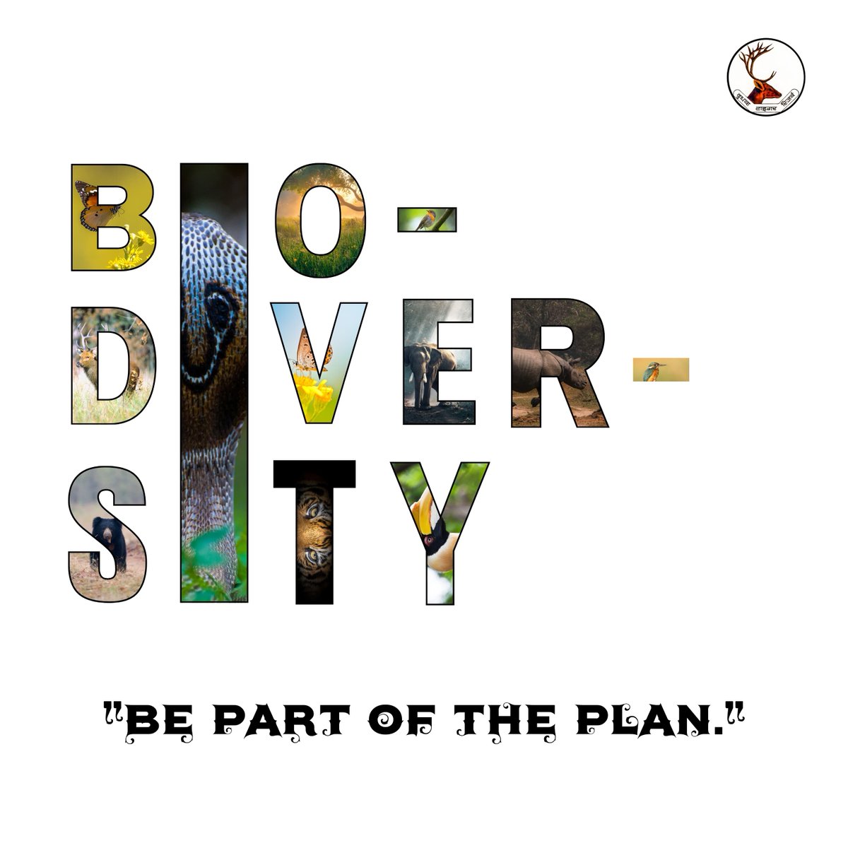 The value of biodiversity is that it makes our ecosystems more resilient, which is a prerequisite for stable societies; 'Be Part of the Plan.' #BiodiversityPlan #biodiversity @moefcc @ntca_india @UpforestUp @ifs_lalit @raju2179 @Shiva3894 @IUCN