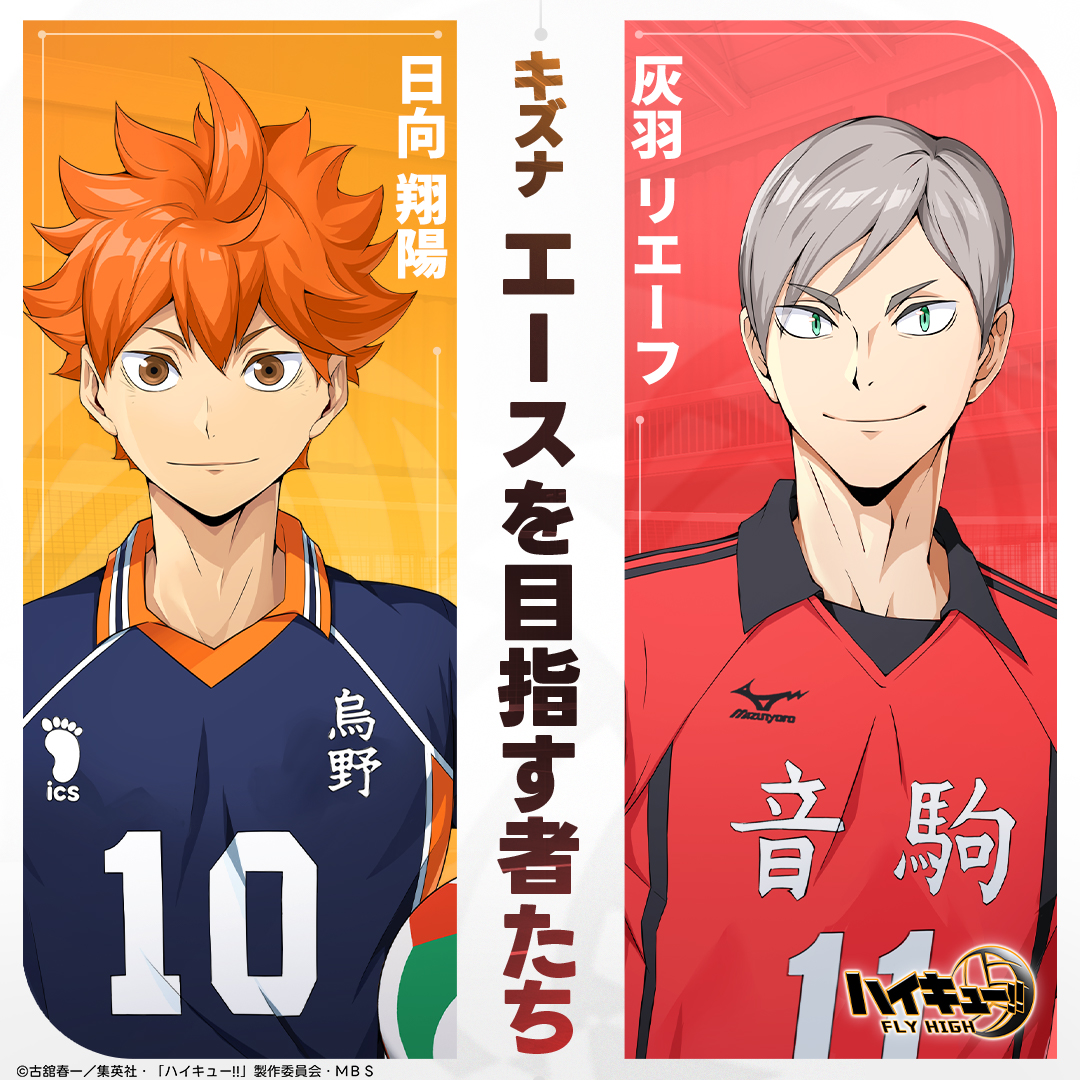 ハイキュー 日向翔陽 灰羽リエーフ 犬岡走 弧爪研磨 SCFカード アニメイト