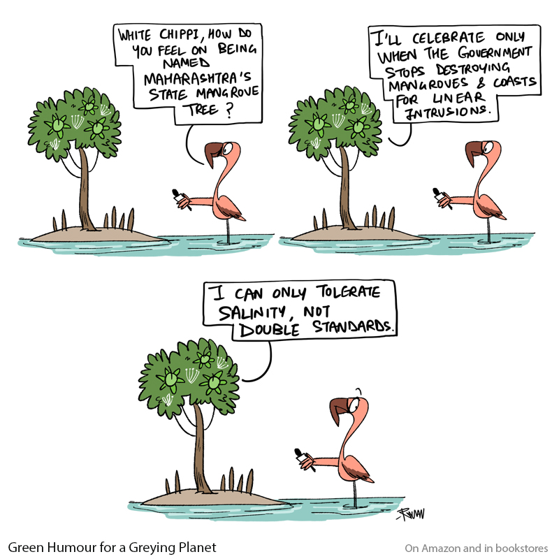What's common between the #Mumbai #heatwave and the recent flamingo deaths in an airplane collision? Maharashtra's state mangrove tree has the answer: unplanned linear intrusion. Cartoon from my book #GreenHumour for a Greying Planet : amazon.in/Green-Humour-G…