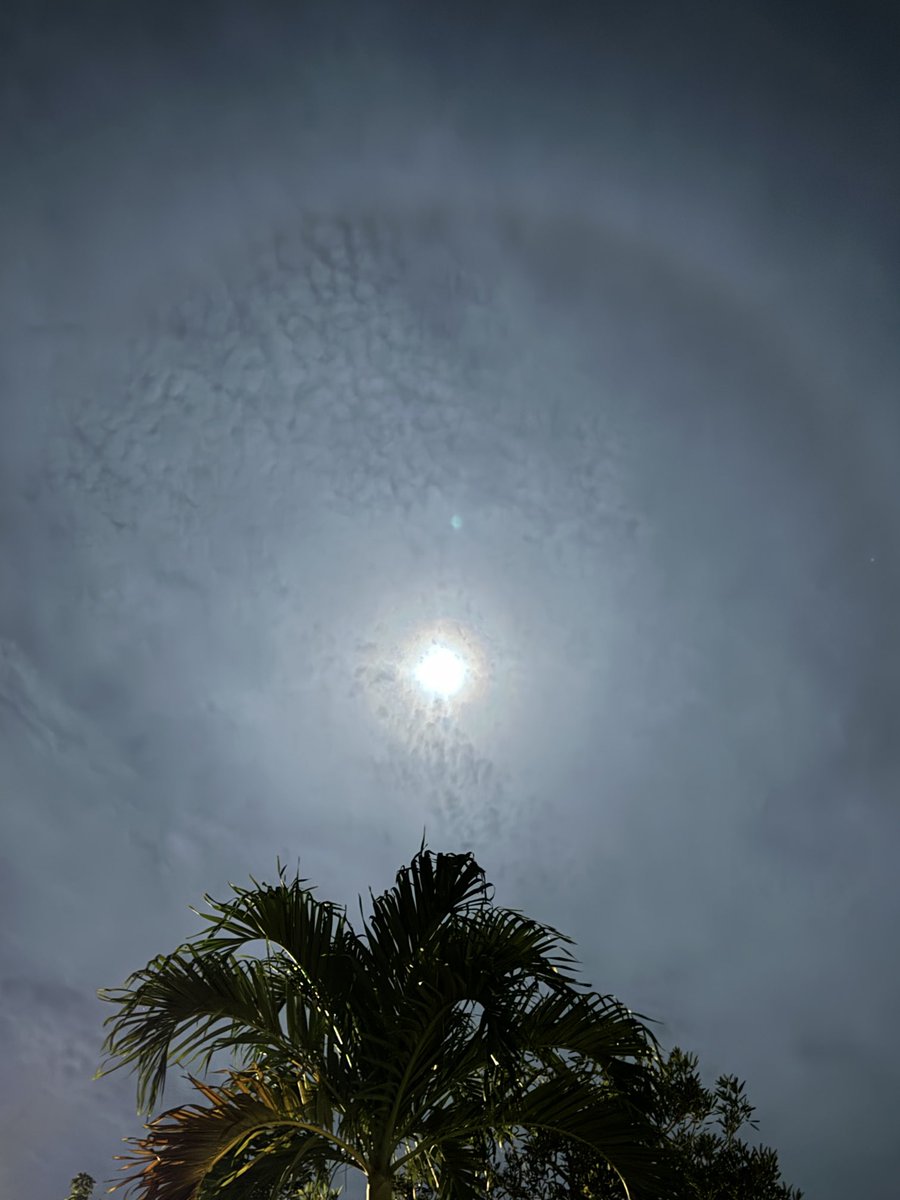 ⁦<a href="/nelsonastrofoto/">NelsonAstrofoto</a>⁩ ⁦<a href="/CycloforumsPR/">CycloforumsPR</a>⁩ ⁦<a href="/adamonzon/">Ada Monzón</a>⁩ #Halo #Moon from #Corozal #PuertoRico