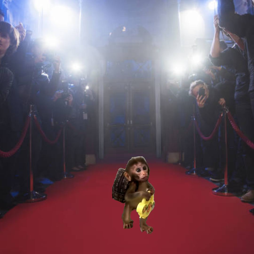 Louiethemonkey tweet media