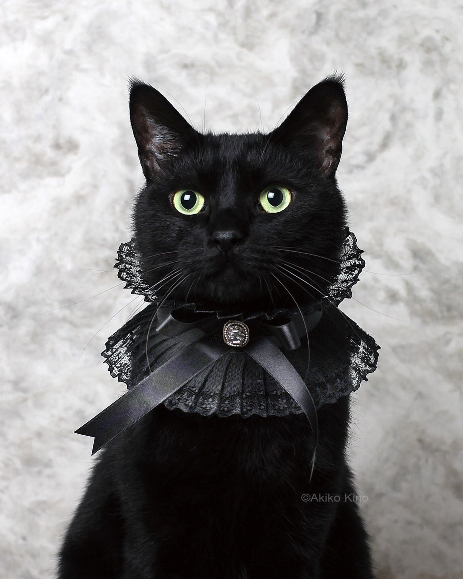 #WorldGothDay
#世界ゴスの日