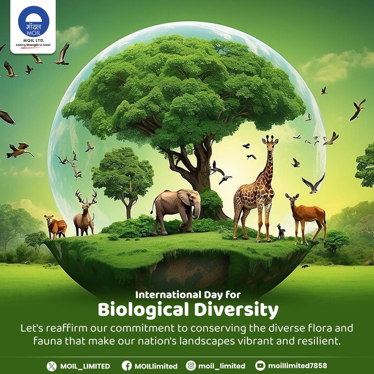 Our planet’s health depends on the richness of its biodiversity. Let's work together to protect it for generations to come. #BiodiversityDay #Sustainability #MOIL #HarEkKaamDeshKeNaam