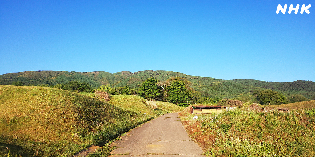 皐月（さつき）の入笠山
場所：諏訪郡富士見町 
nhk.or.jp/shinshu-blog/4…

#撮るしん #富士見町 
#イブニング信州 #あなツク