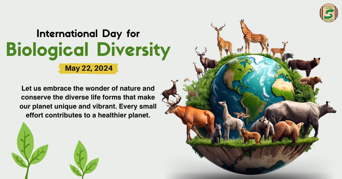 Today, we all must ask ourselves, is it possible to survive without our biodiversity? Absolutely not. Our connection to other species is deeper than we know. Hence, let's reduce biodiversity losses, live while preserving resources and tale actions to conserve our ecosystem.