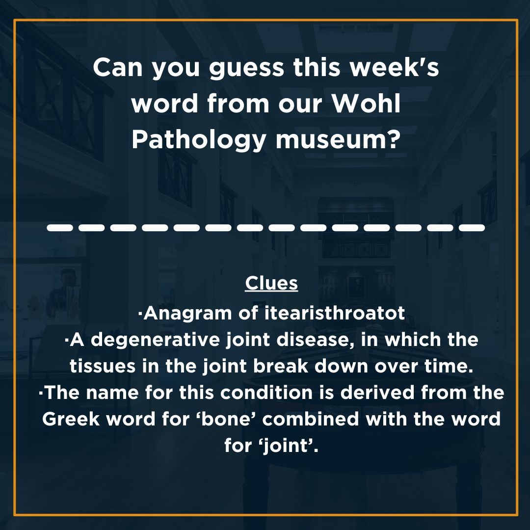 You'll find our #WordOnWednesday in our Wohl Pathology Museum! Do you know what it is?